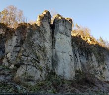 Jahresabschlusswanderung im Pegnitztal – „Weitblicke genießen“